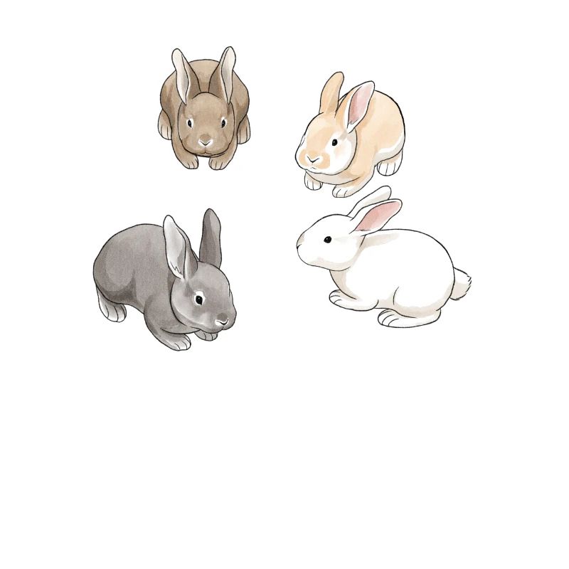 Lapins