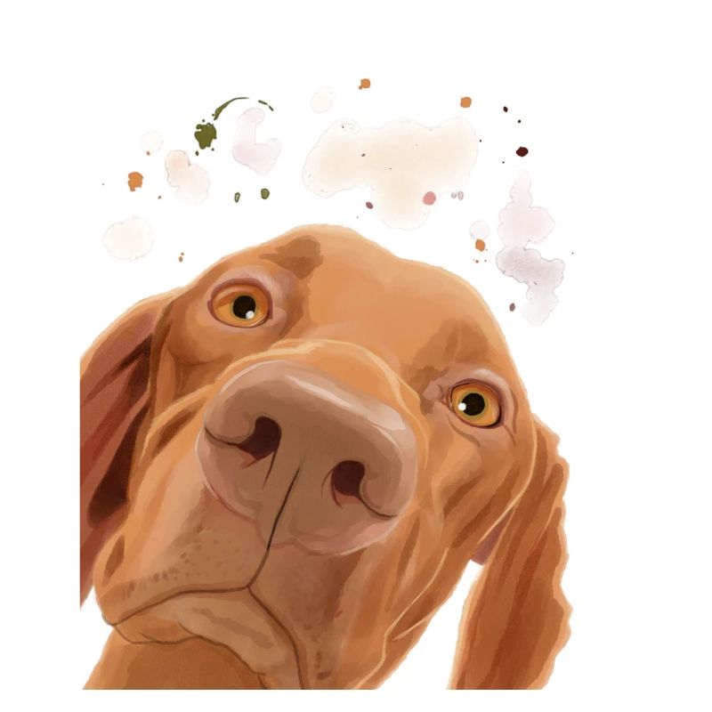 Curieux chien guide hongrois