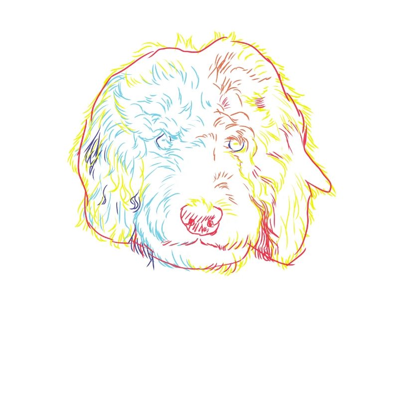 Curious Golden Doodle