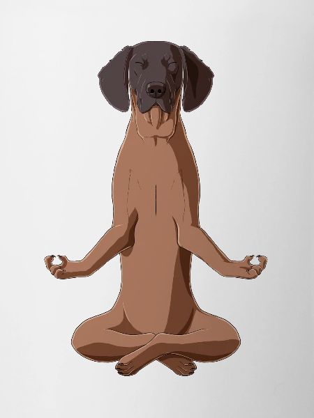 Bavarian Mountain Hound Dog meditate