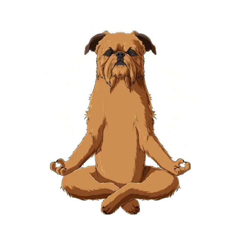 Brussels Griffon Dog meditate