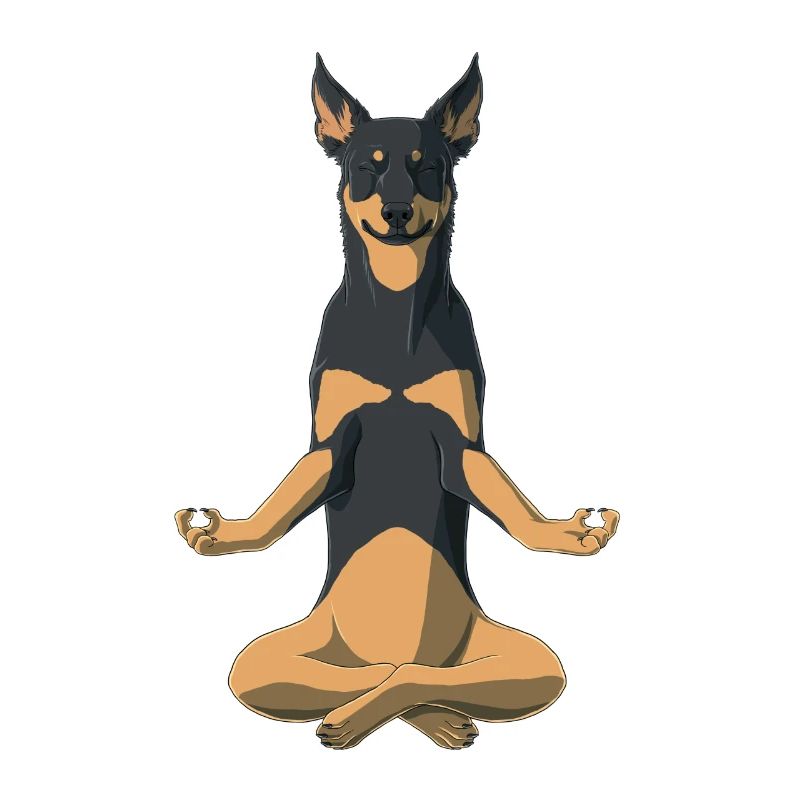 Meditation Hund Australian Kelpie
