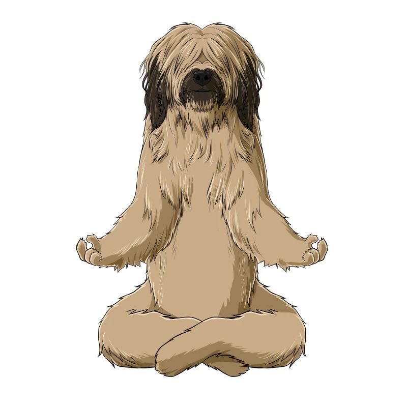 Chien Méditant Briard