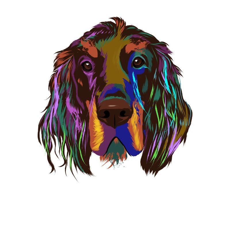 Splash Gordon setter Dog