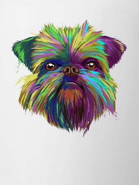 Splash Brussels Griffon Dog