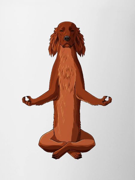 Meditating Irish Red Setter Dog