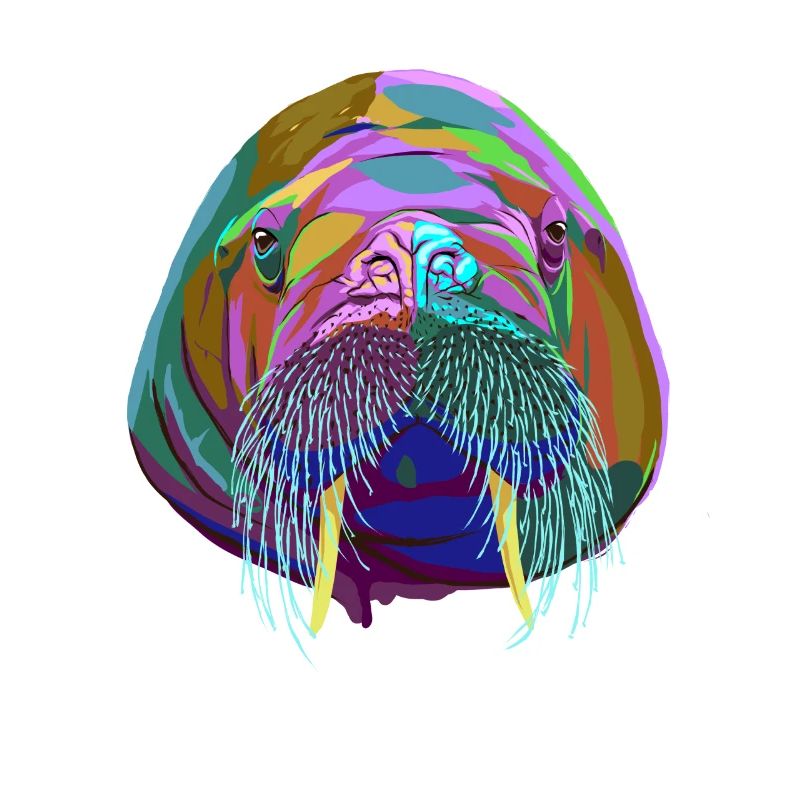 Walrus