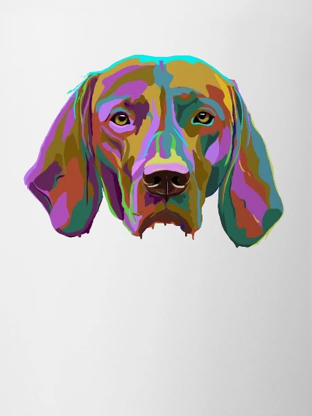 Vizsla Dog splash