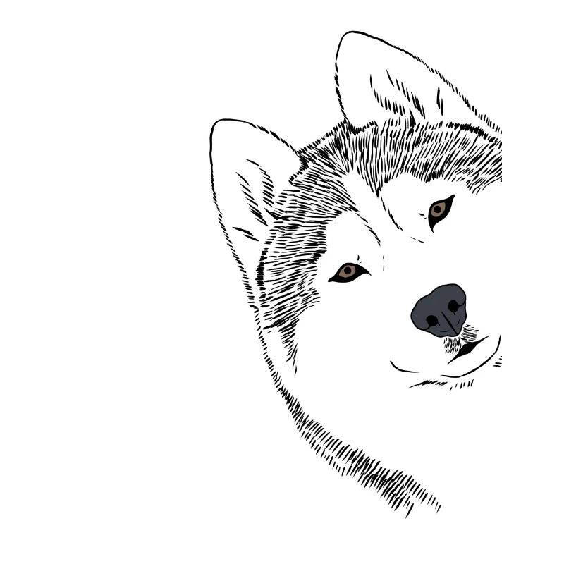 Neugieriger Siberian Husky Hund