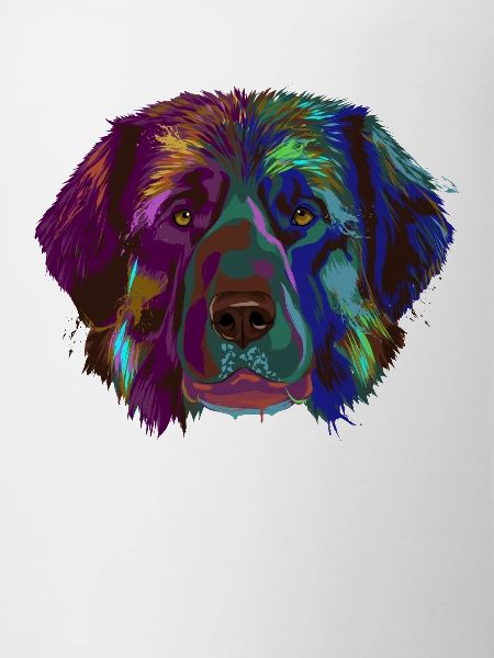 Splash Leonberger Dog