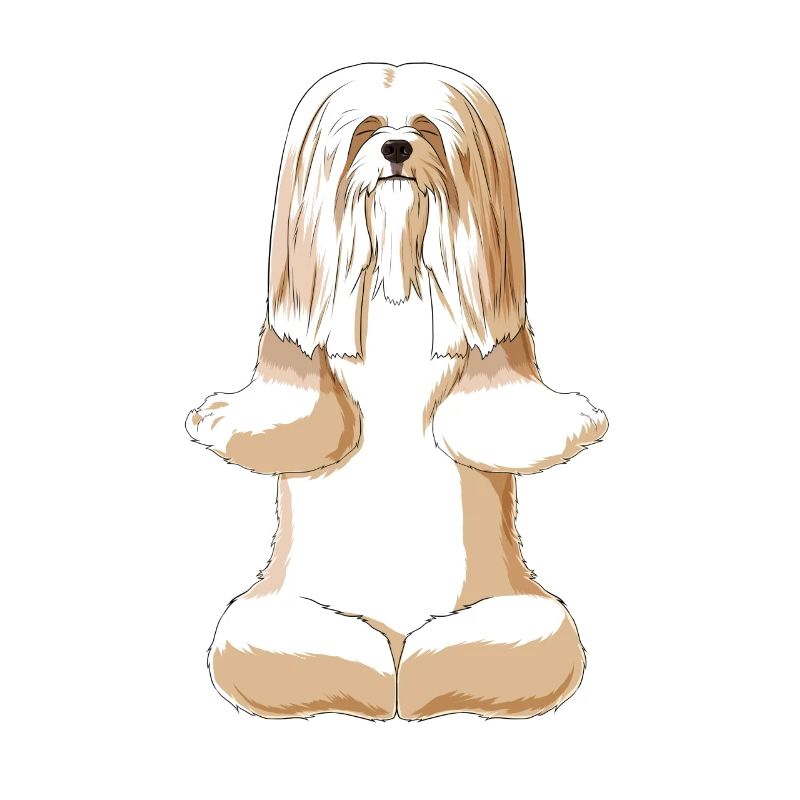 Méditant chien Lhasa Apso