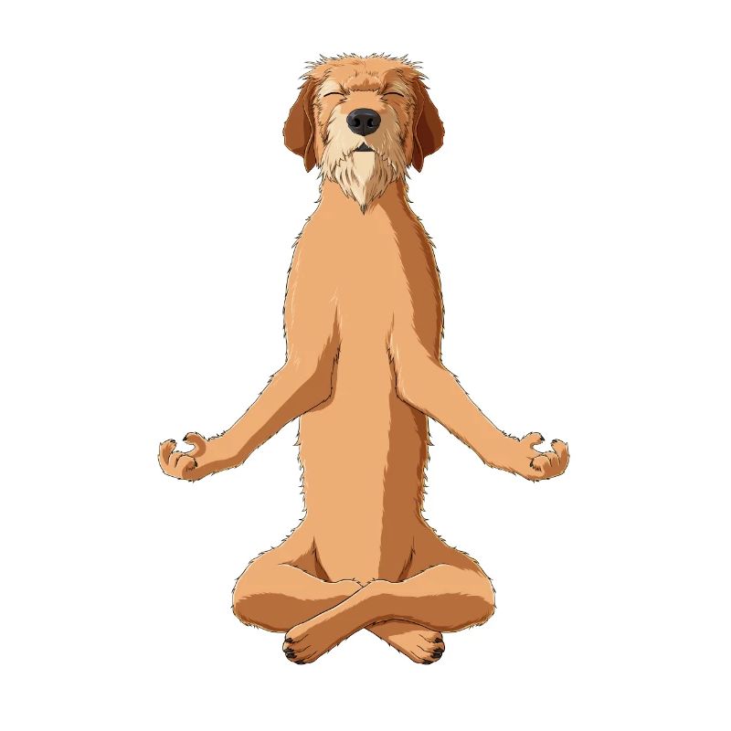 Meditate Styrian Coarse Haired Hound