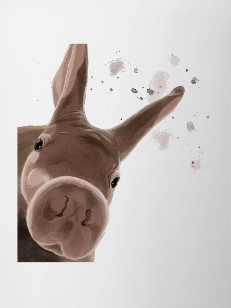 Curious Aardvark