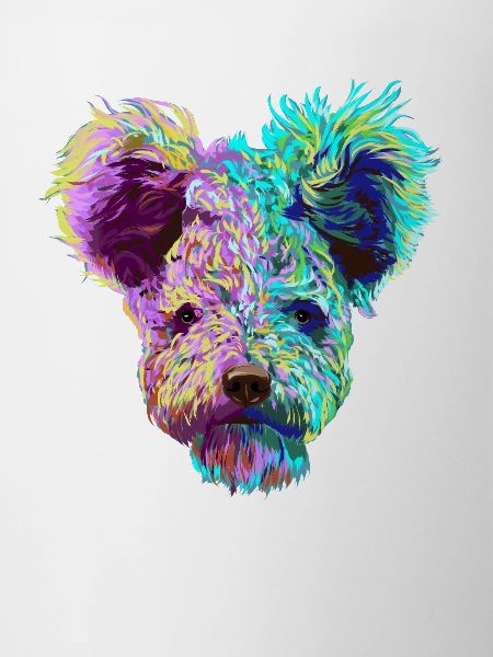 Splash Pumi chien
