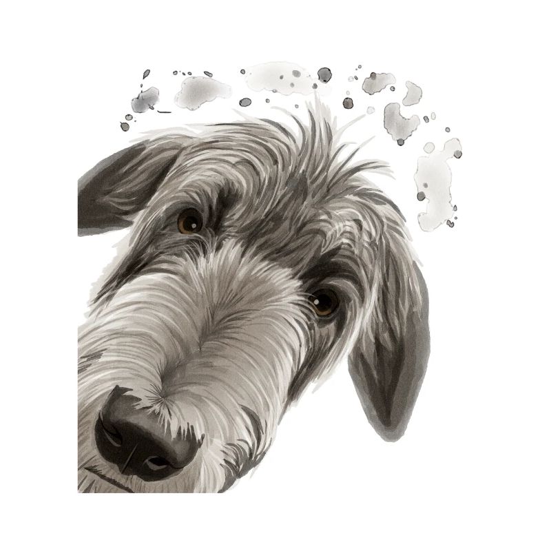 Neugieriger Deerhound Hund