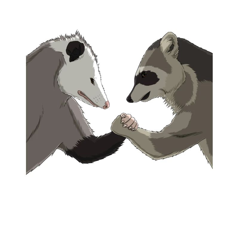 Opossum Raton Laveur Bras de fer
