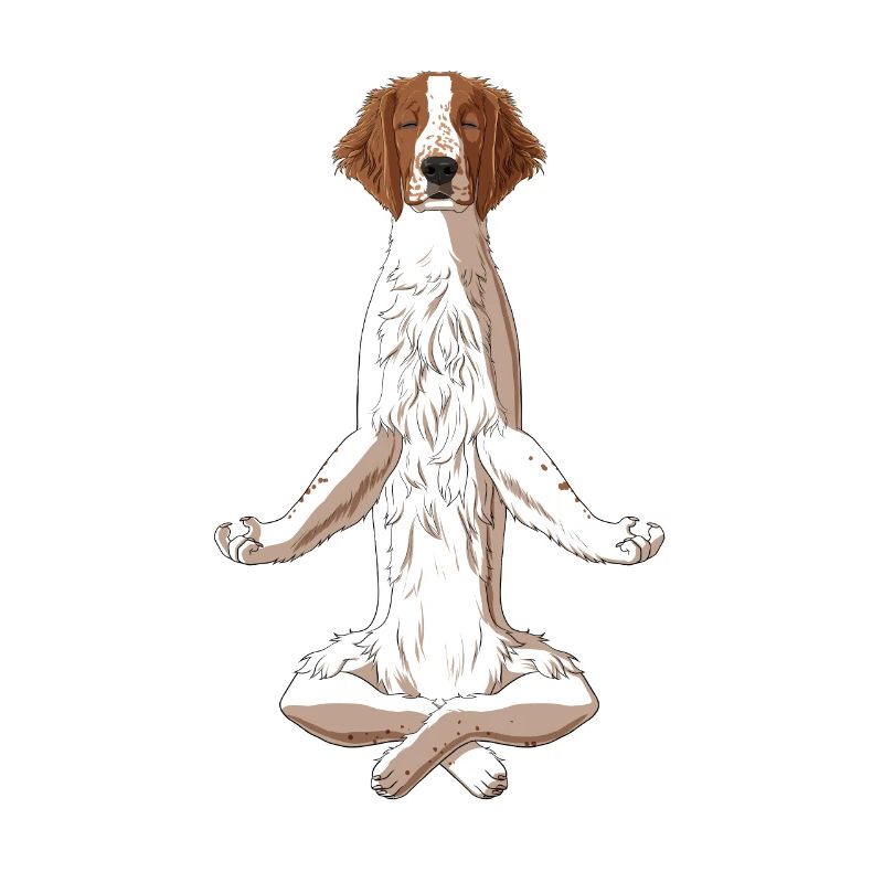 Meditate Welsh Springer Spaniel Dog