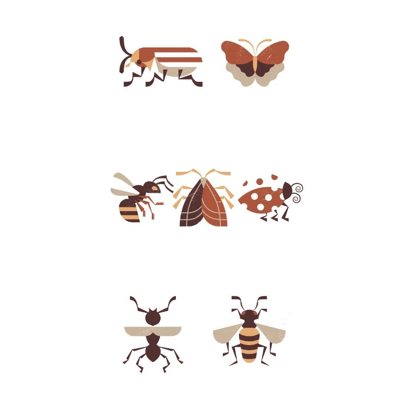 Simply distracted by insects, entomology