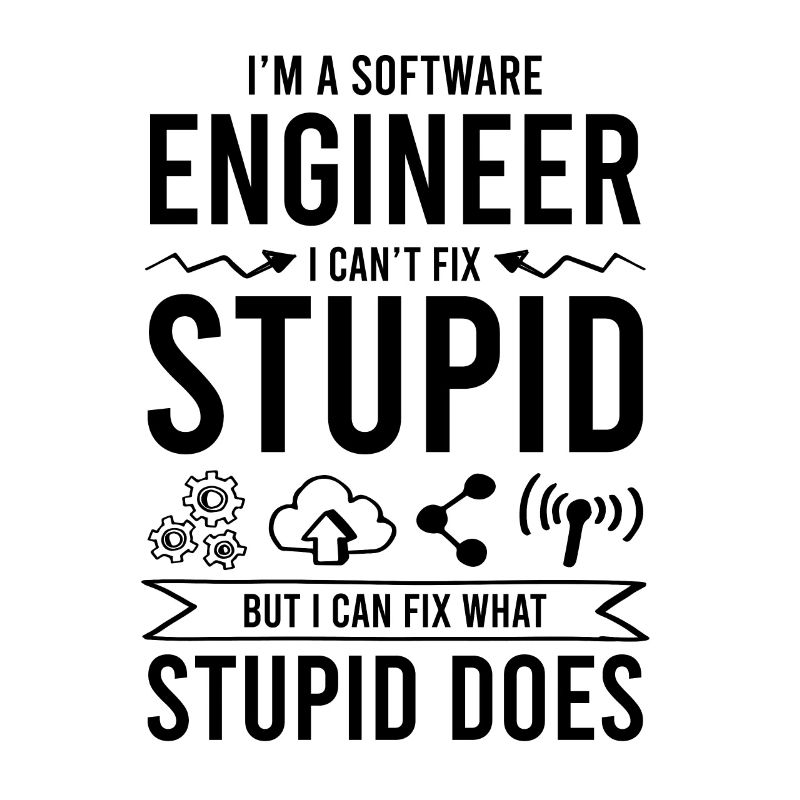 software ingenieur spruch