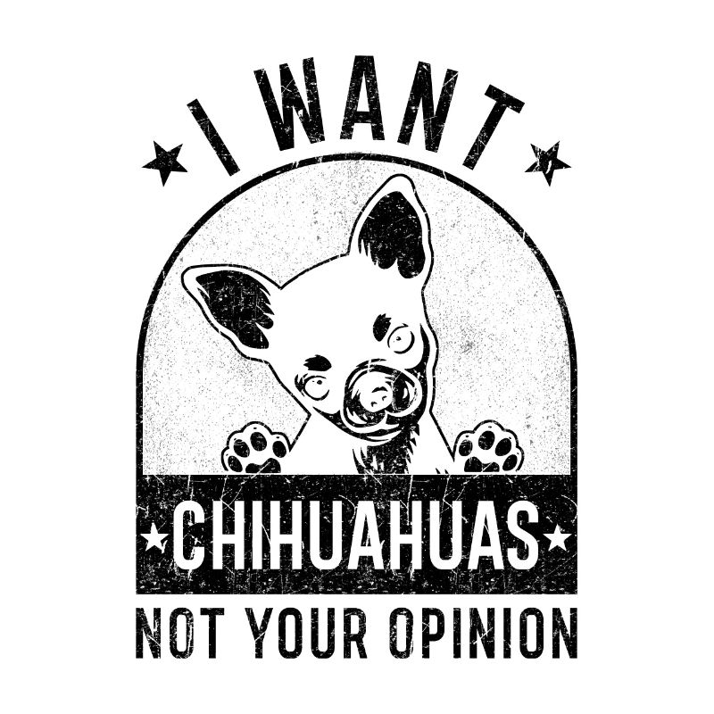 Chihuahua funny