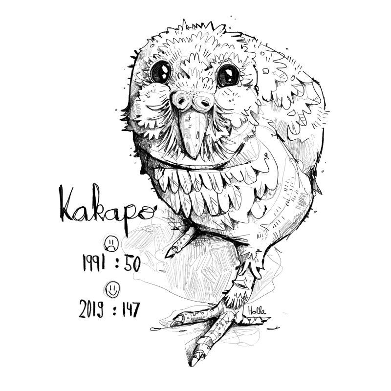 Oiseau kakapo avec évolution du stock