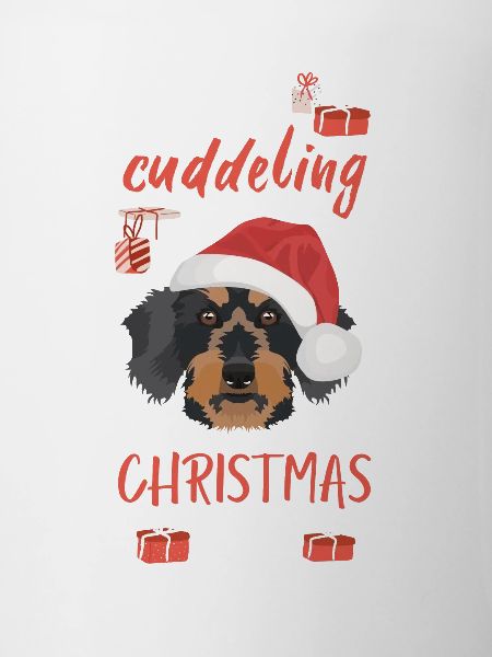 Rough-haired dachshund Christmas