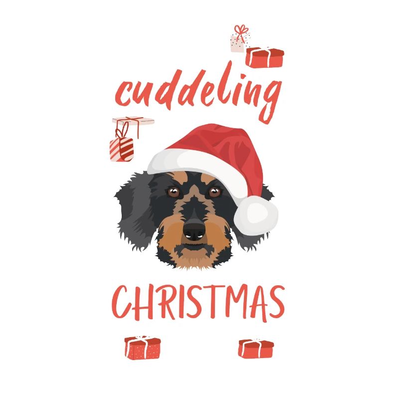 Rough-haired dachshund Christmas
