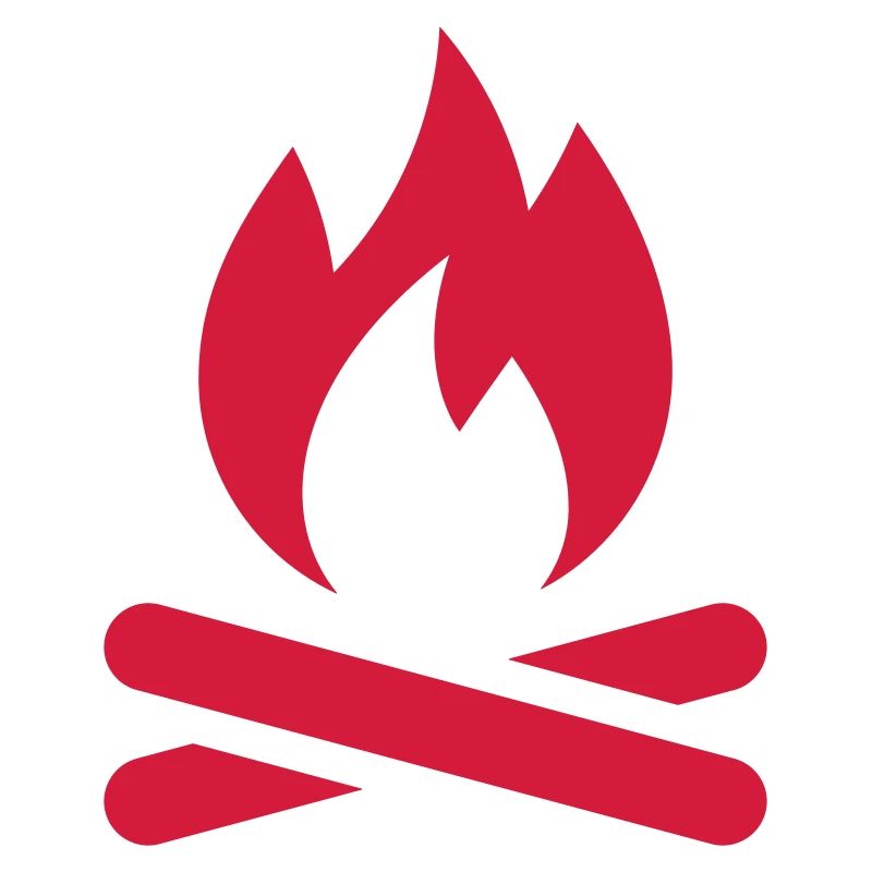 Feu de camp de feu