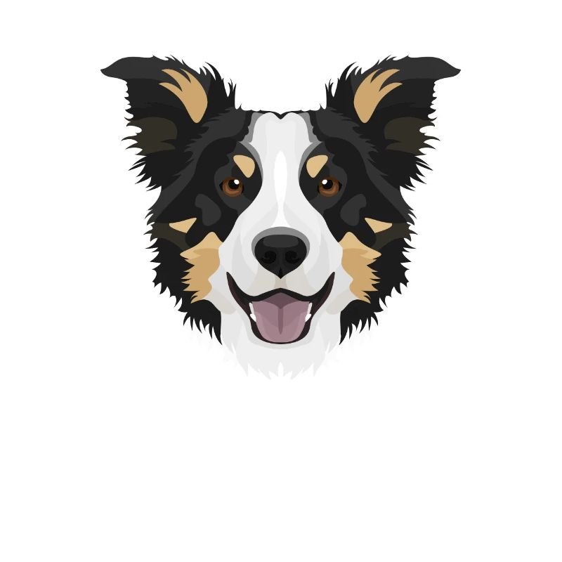 Border Collie souriant