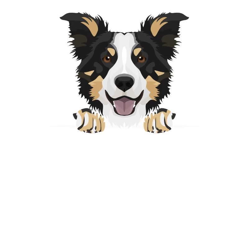 Border Collie souriant