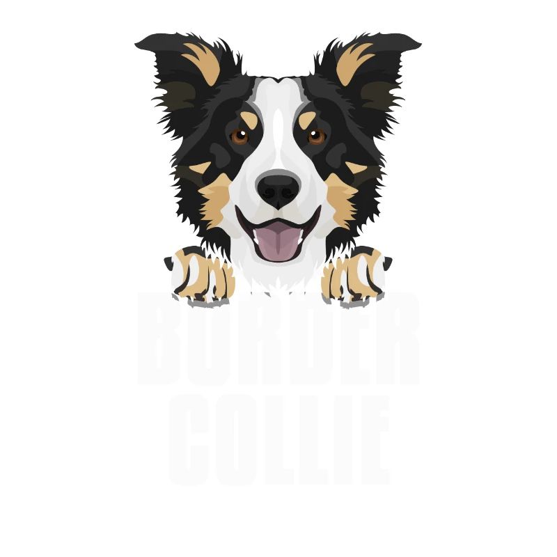 Border Collie souriant