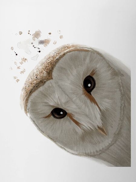 Vogel Eule