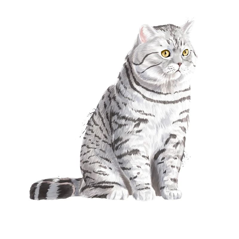Sitzende Spotted Britisch Kurzhaar Katze