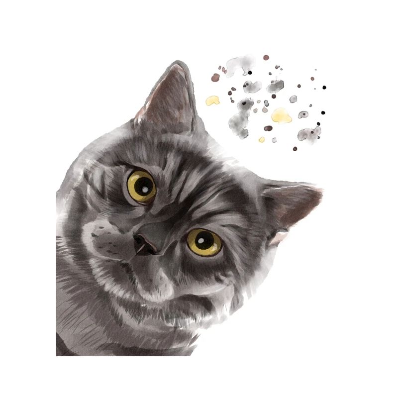Lustige Neugierige Smoke Britisch Kurzhaar Katze