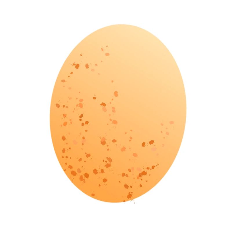 Oeuf oeuf poule