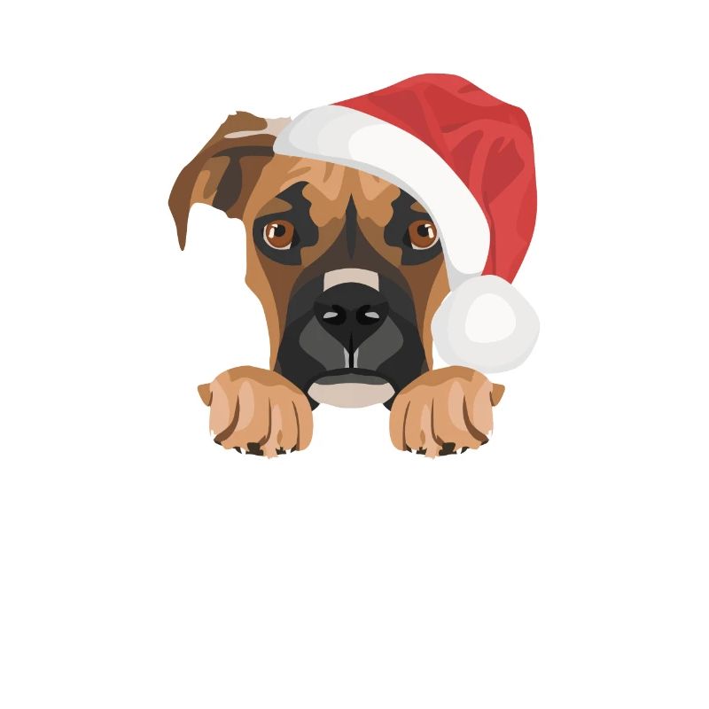 Boxer Joyeux Noël