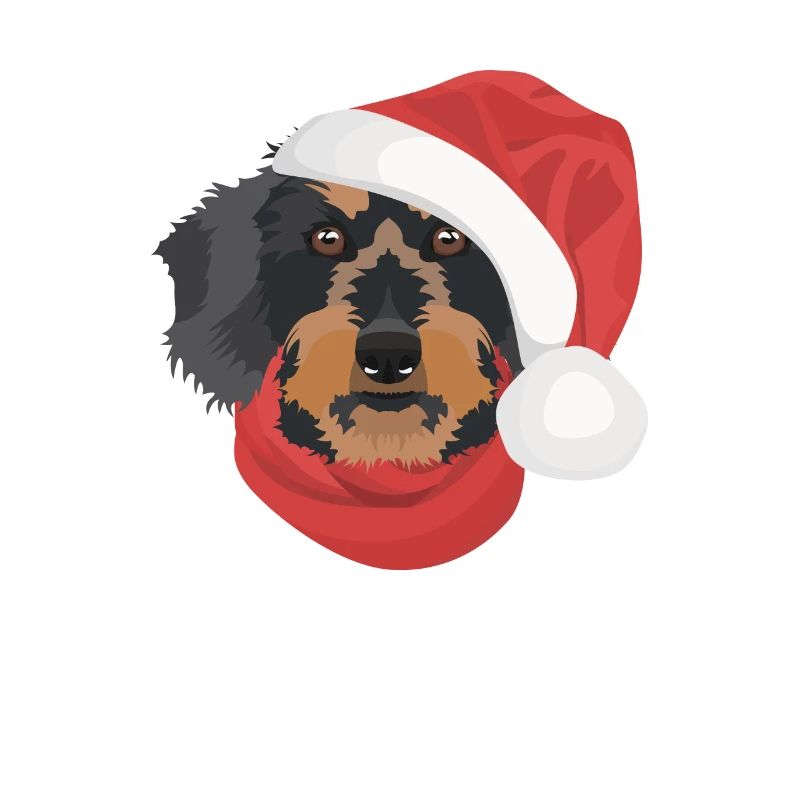 Teckel à poil dur Joyeux Noël