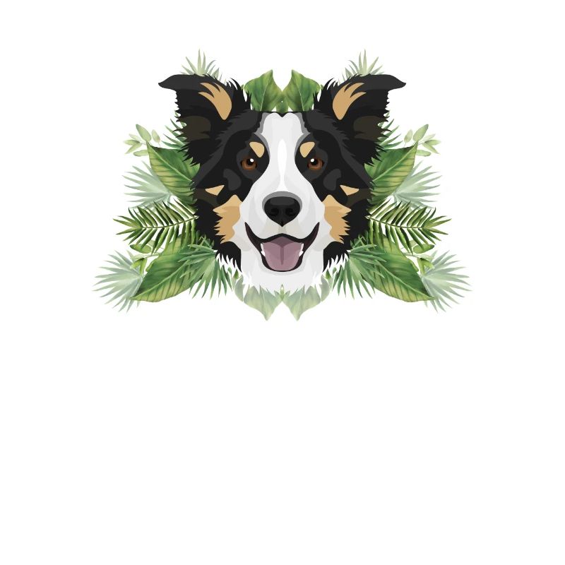 Tropical Border Collie