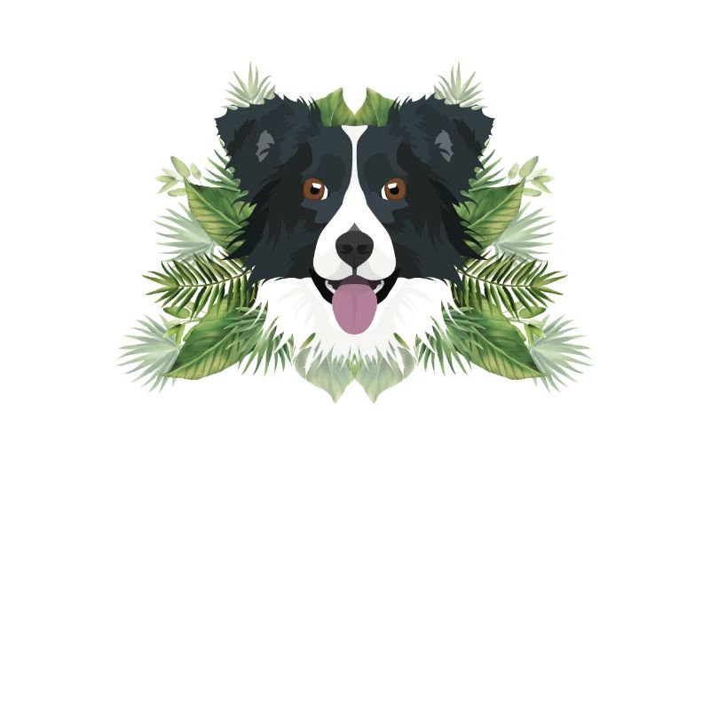Tropical Border Collie