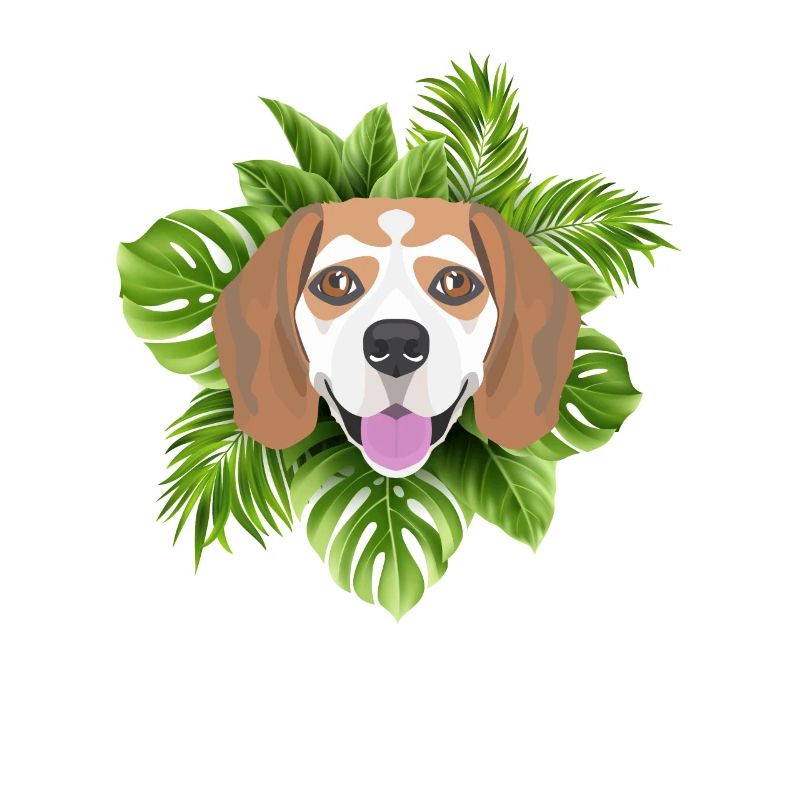 Tropical Beagle