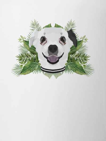 Tropical Chihuahua