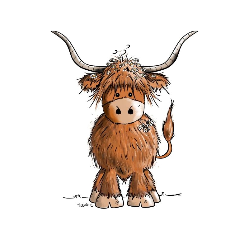 Droll Scottish Highland Cattle