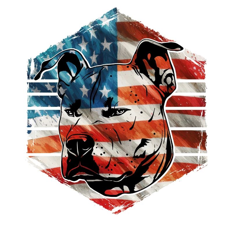 Pitbull États-Unis