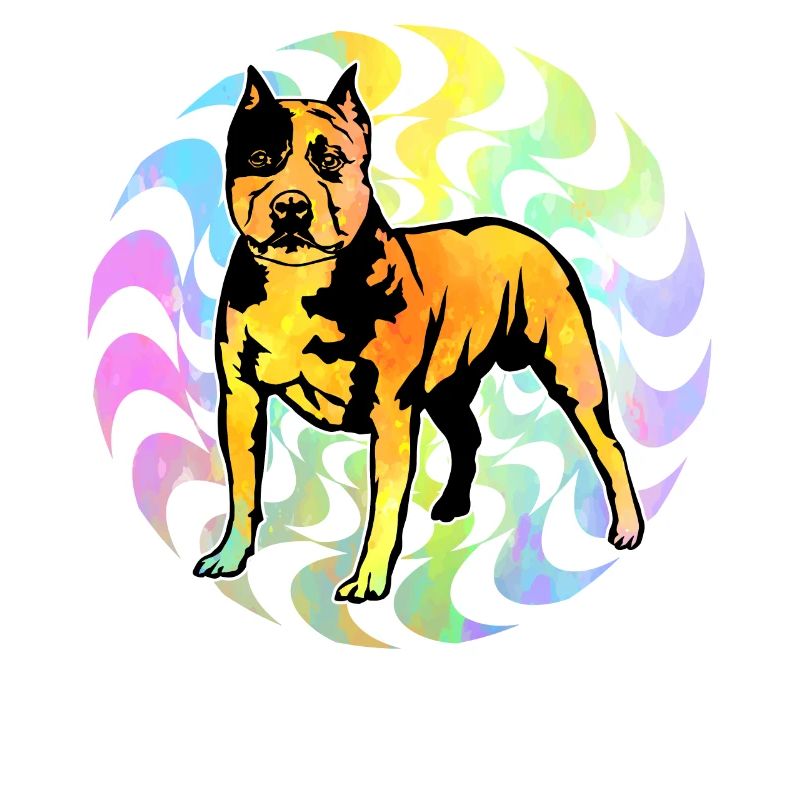 Pitbull Rétro