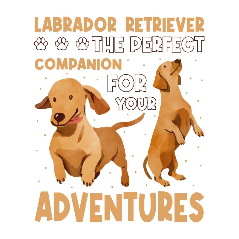Labrador