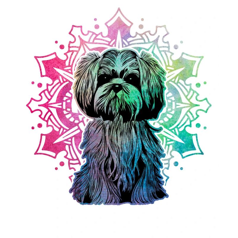Shih Tzu