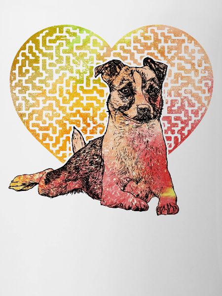 Jack Russell Terrier