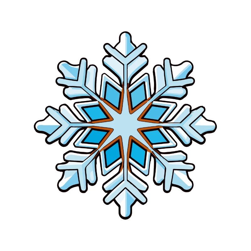 Snowflake Snow Icon