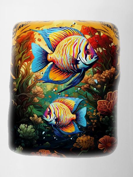 Angelfish
