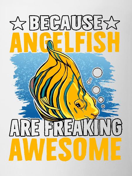 Because Angelfish are freaking Awesome